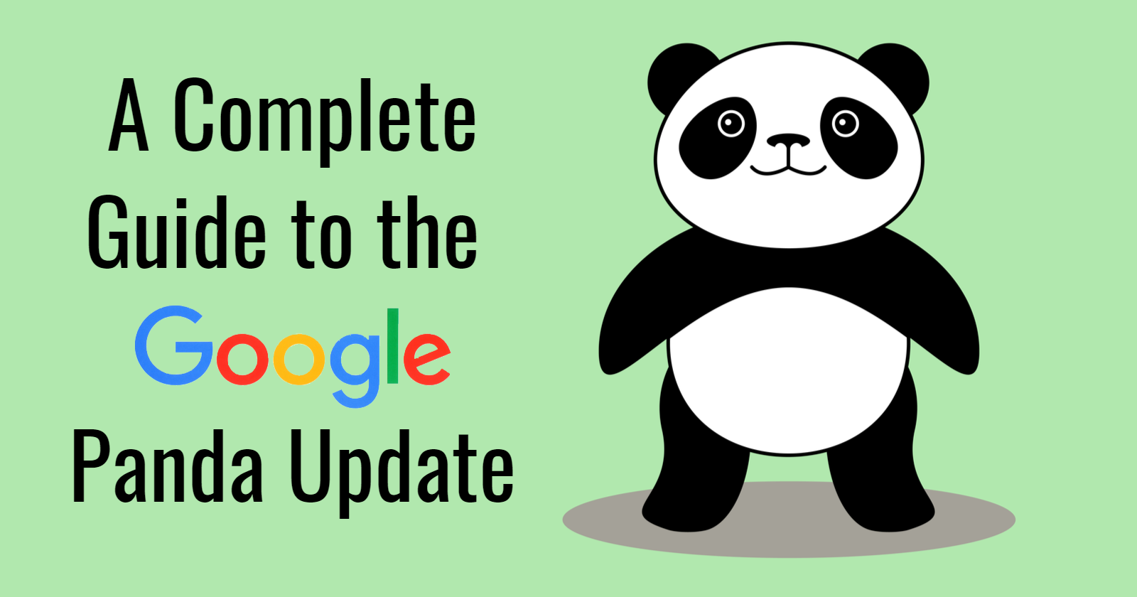 Google Panda | The History and Why You Should Care